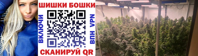 Купить закладки Мезень Каннабис AK-47